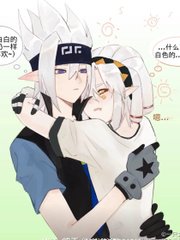 深入了解 蓝导航小鸟导航